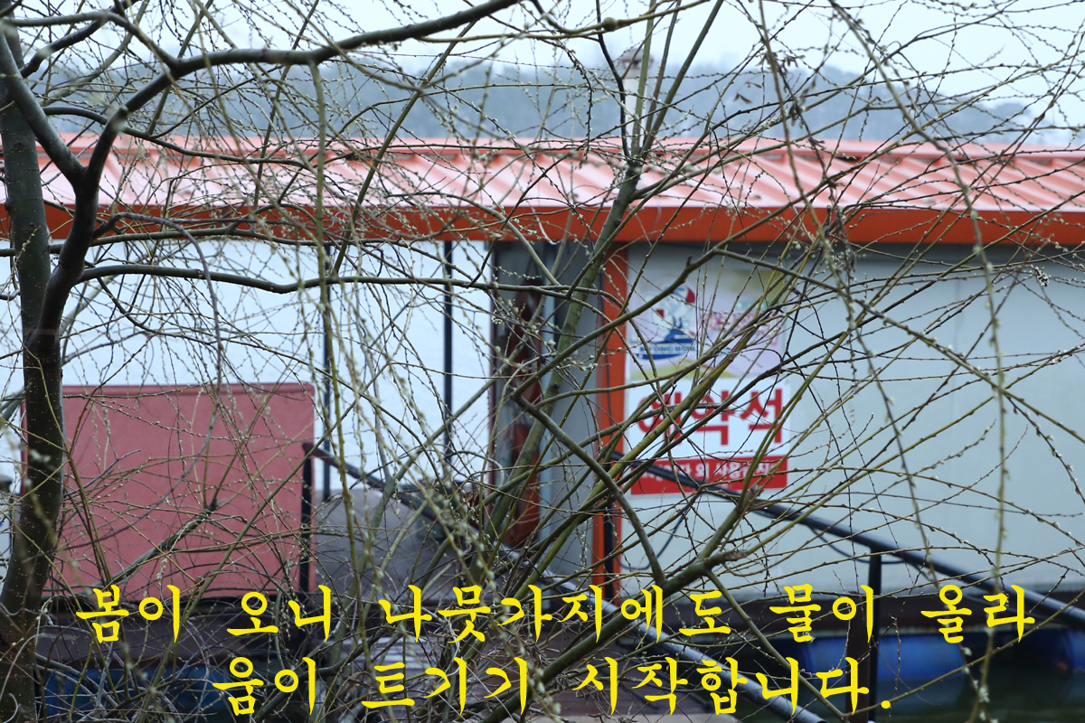 ba22e58a3f18c709e93f5a74c4b14812_1678612083_533.jpg ba22e58a3f18c709e93f5a74c4b14812_1678612083_533.jpg