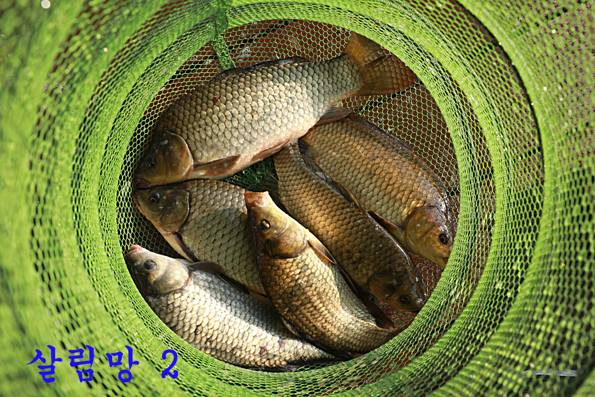 42a1a605377dfcd839fd03778ed4766e_1682854209_5113.jpg 42a1a605377dfcd839fd03778ed4766e_1682854209_5113.jpg