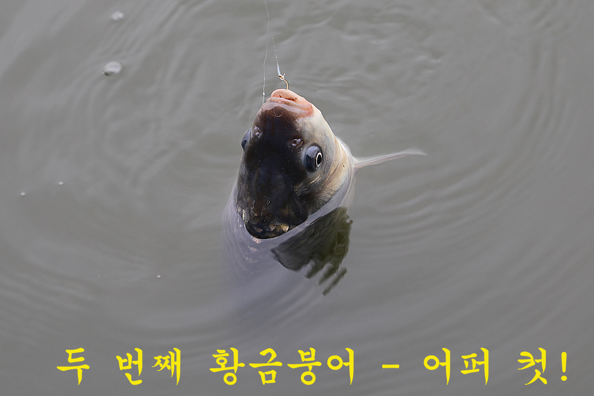 d4de3e0f113442e35e9862ddf725ff0b_1685262070_6852.jpg d4de3e0f113442e35e9862ddf725ff0b_1685262070_6852.jpg