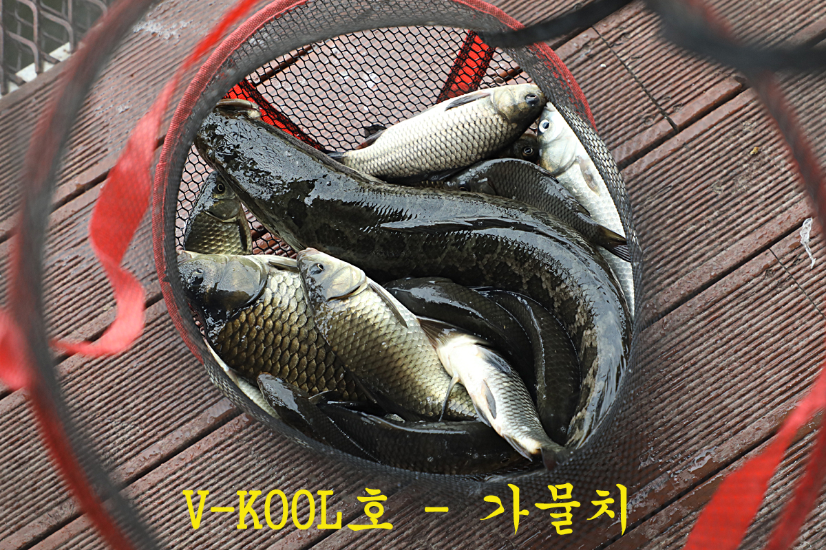 d60a79c7f0fcf3649fb292e577ddf587_1688887283_72.jpg d60a79c7f0fcf3649fb292e577ddf587_1688887283_72.jpg