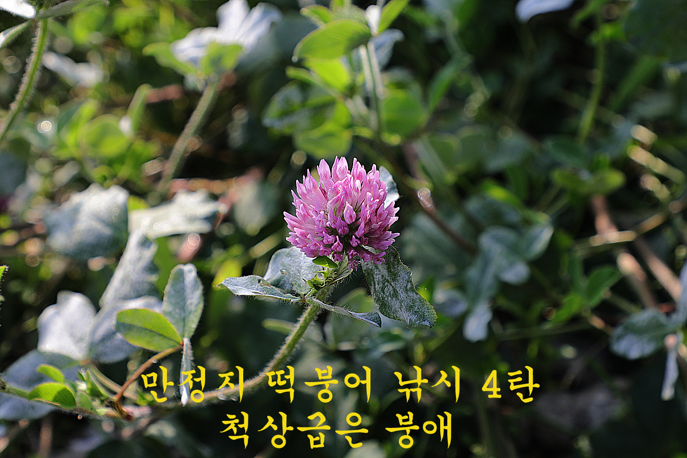 9f36b292940ae18815e845a93e735853_1716111560_4136.jpg 9f36b292940ae18815e845a93e735853_1716111560_4136.jpg