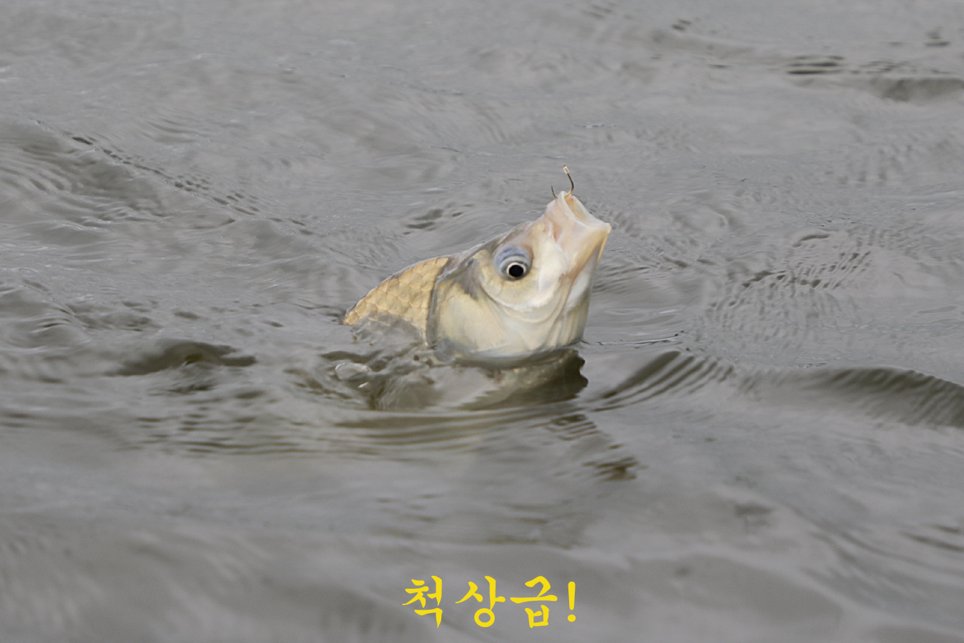 61610499136750a53f87c074755663a5_1719730864_6735.jpg 61610499136750a53f87c074755663a5_1719730864_6735.jpg
