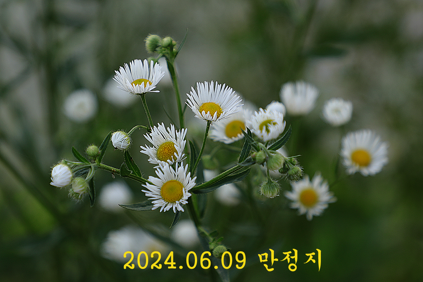 a6dd16a7c2565cdef0a1bd307ebe8b2c_1717917002_547.jpg a6dd16a7c2565cdef0a1bd307ebe8b2c_1717917002_547.jpg