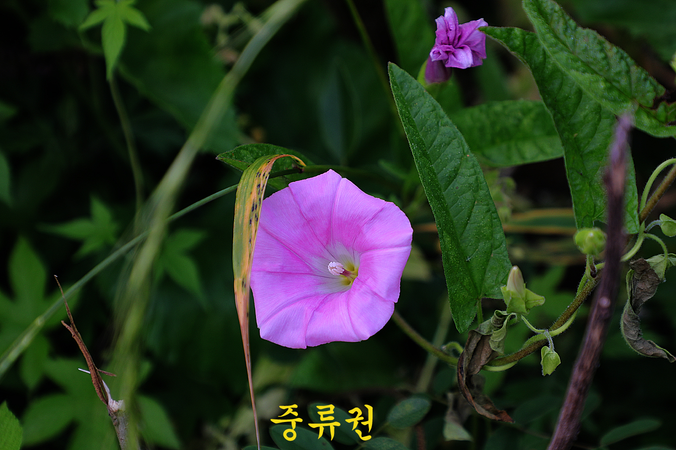 a6dd16a7c2565cdef0a1bd307ebe8b2c_1717917002_79.jpg a6dd16a7c2565cdef0a1bd307ebe8b2c_1717917002_79.jpg