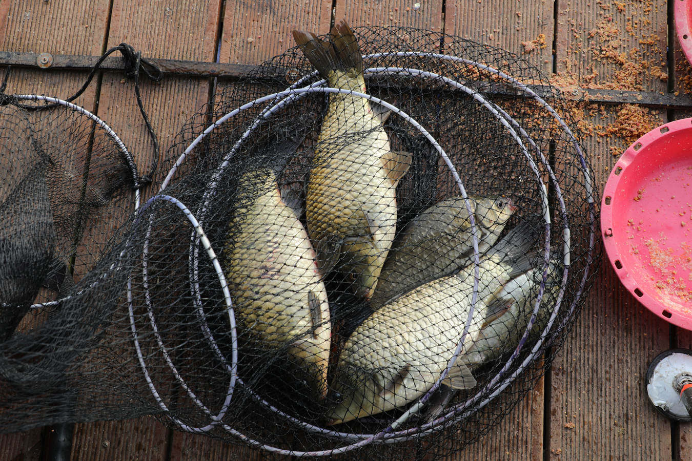 a6dd16a7c2565cdef0a1bd307ebe8b2c_1717917003_4743.jpg a6dd16a7c2565cdef0a1bd307ebe8b2c_1717917003_4743.jpg
