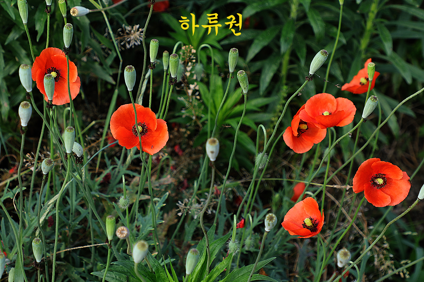 a6dd16a7c2565cdef0a1bd307ebe8b2c_1717917019_616.jpg a6dd16a7c2565cdef0a1bd307ebe8b2c_1717917019_616.jpg