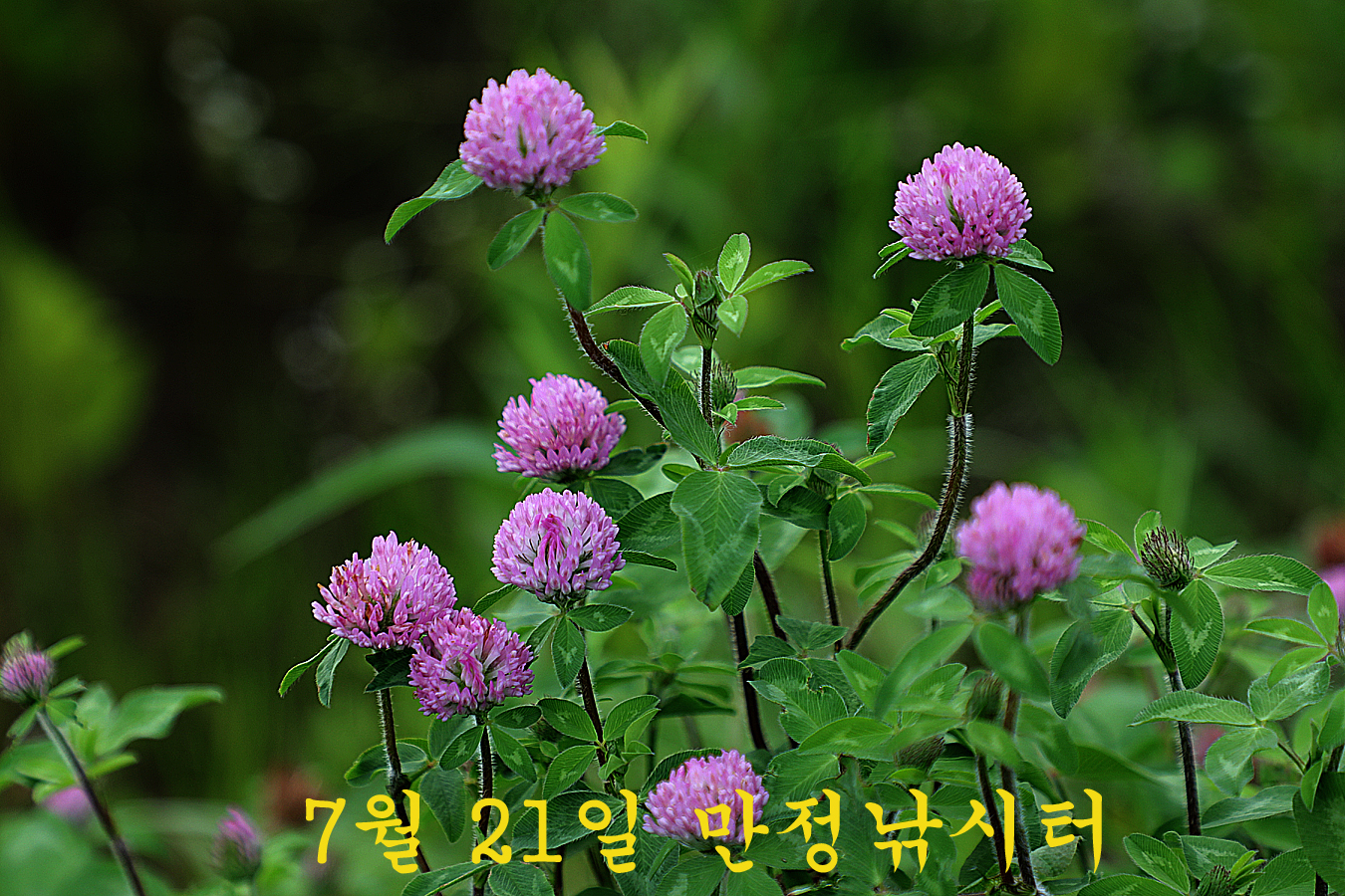 a4e2f591237e75b5471d0125a8f48f2e_1721549089_6578.jpg a4e2f591237e75b5471d0125a8f48f2e_1721549089_6578.jpg