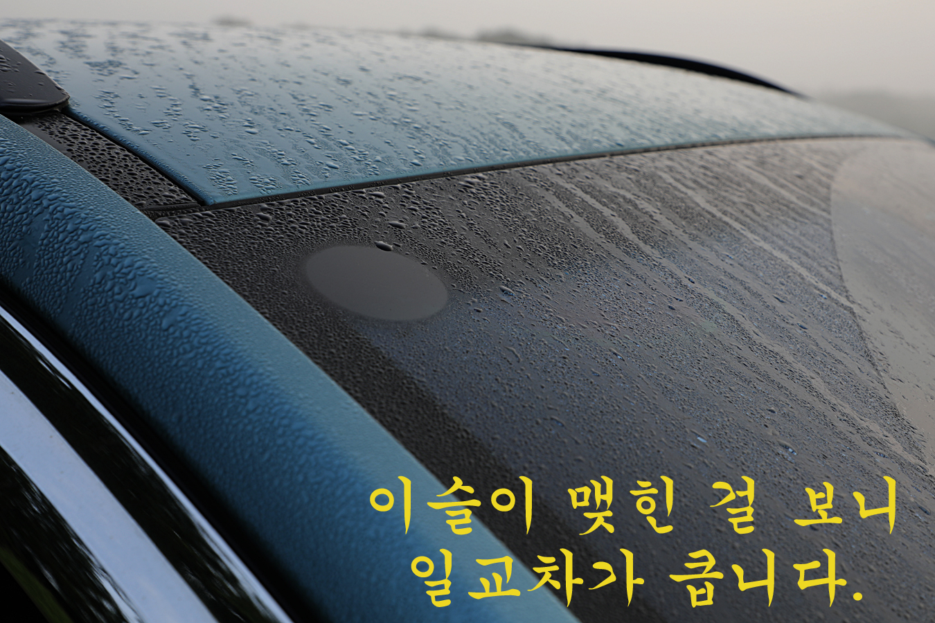 a593cc9016ea7984e270e41adaf5a620_1724563920_5437.jpg a593cc9016ea7984e270e41adaf5a620_1724563920_5437.jpg