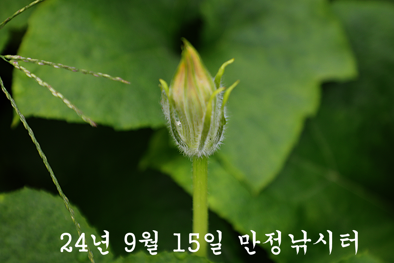 715a441dc8c21cdfe4e68f5f264c9c09_1726393061_9329.jpg 715a441dc8c21cdfe4e68f5f264c9c09_1726393061_9329.jpg