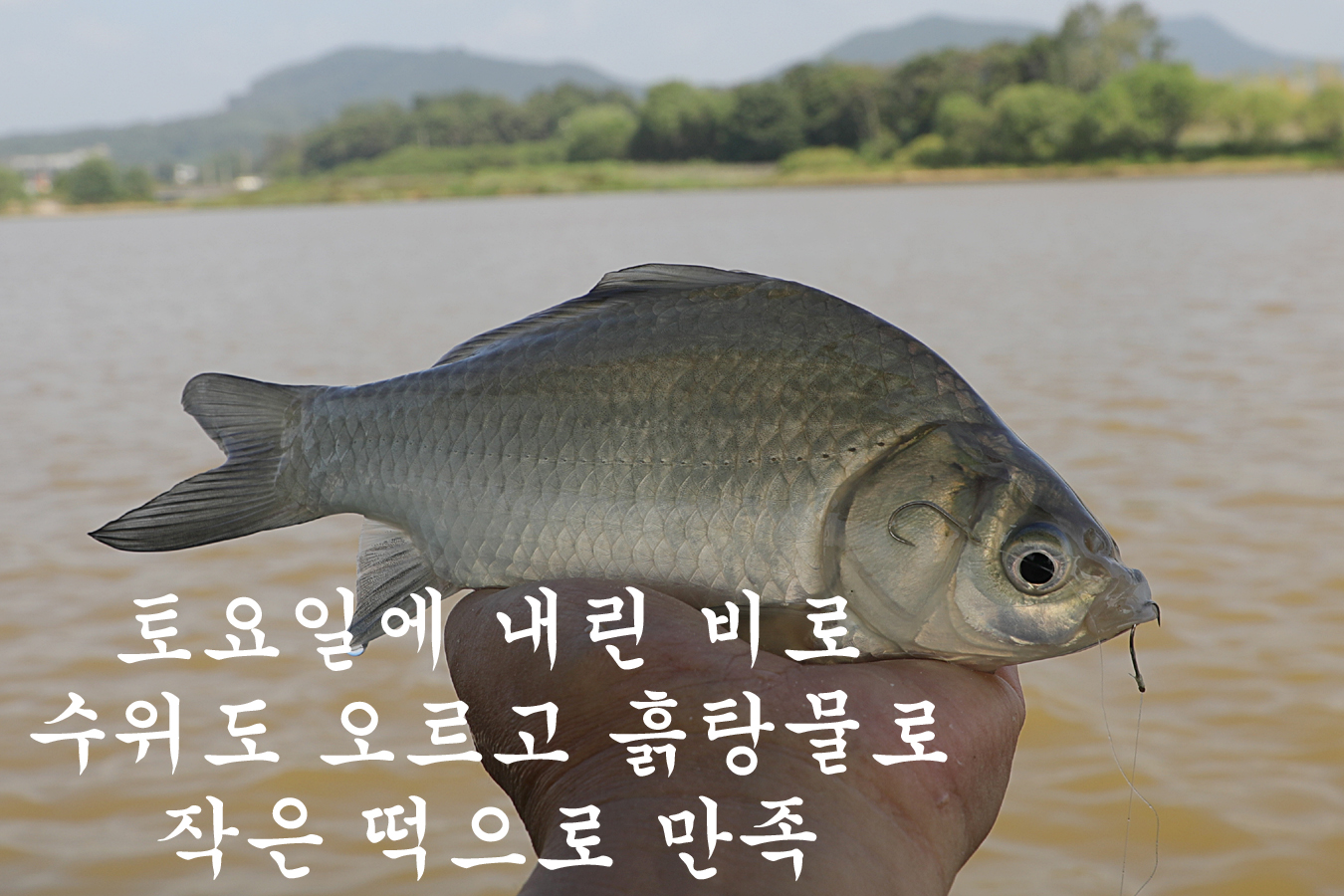 715a441dc8c21cdfe4e68f5f264c9c09_1726393087_3713.jpg 715a441dc8c21cdfe4e68f5f264c9c09_1726393087_3713.jpg