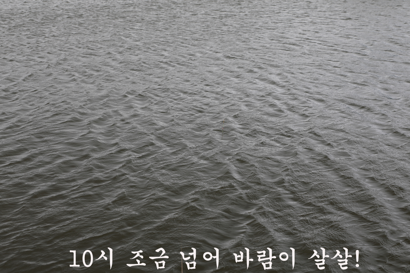 62b821d496388c7aaa4a3ed740eadcff_1744532994_7458.jpg