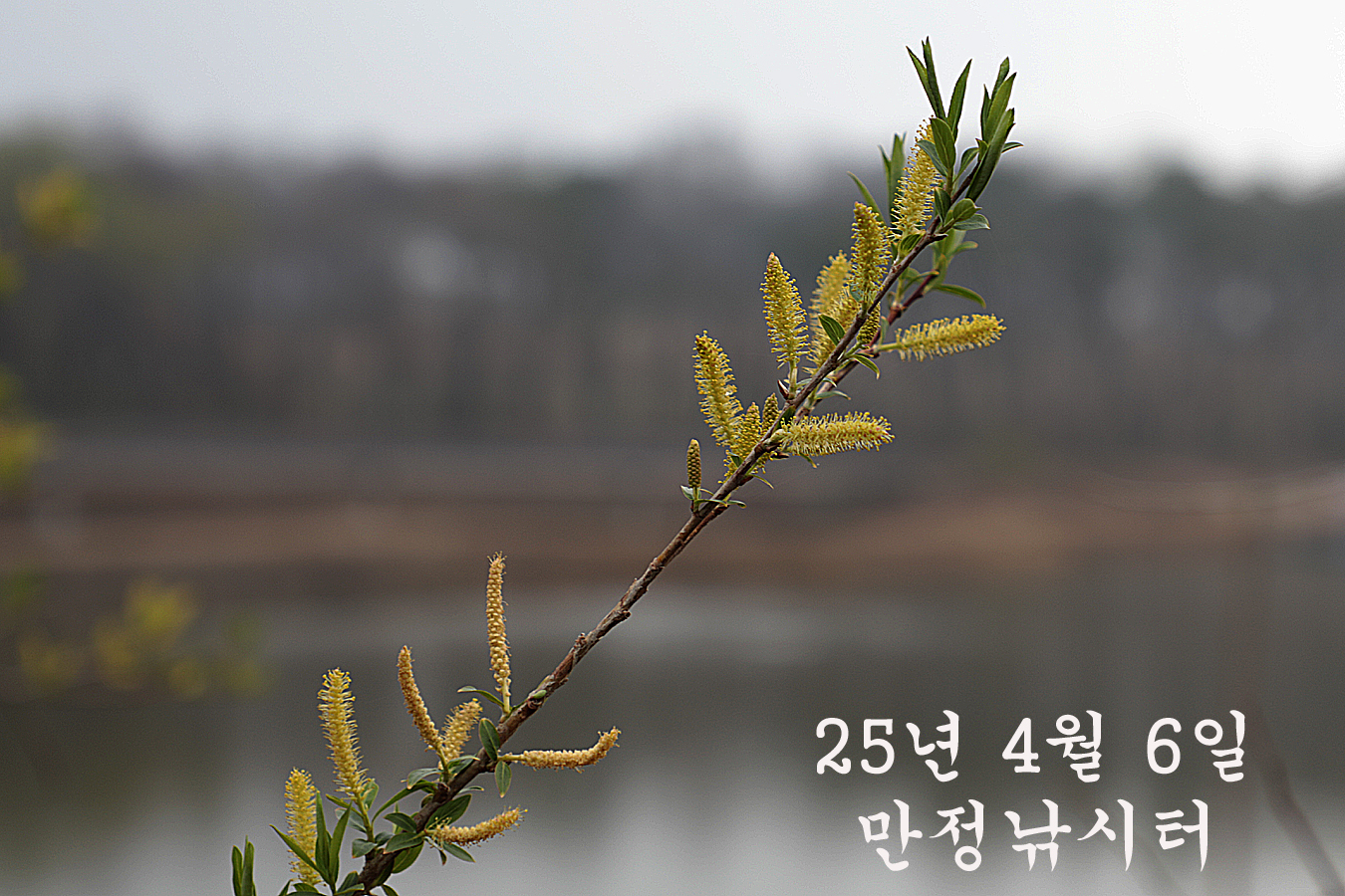 abd95100a64e9a6ba7833ea14c3cf7fb_1743936836_0589.jpg abd95100a64e9a6ba7833ea14c3cf7fb_1743936836_0589.jpg