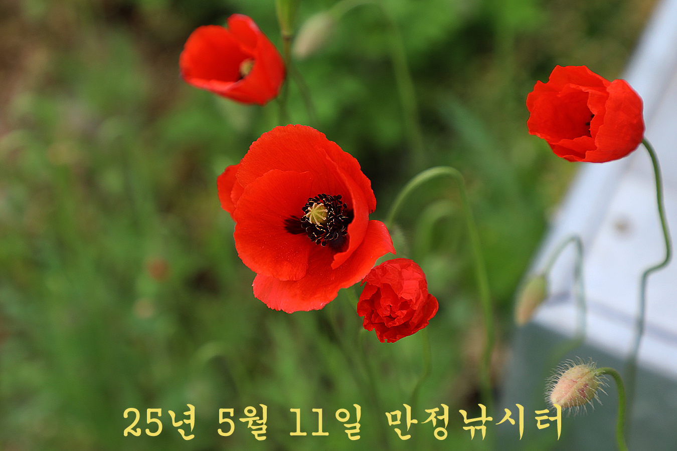 8c8a230e4b202736260f85751378287c_1746952340_7161.jpg 8c8a230e4b202736260f85751378287c_1746952340_7161.jpg
