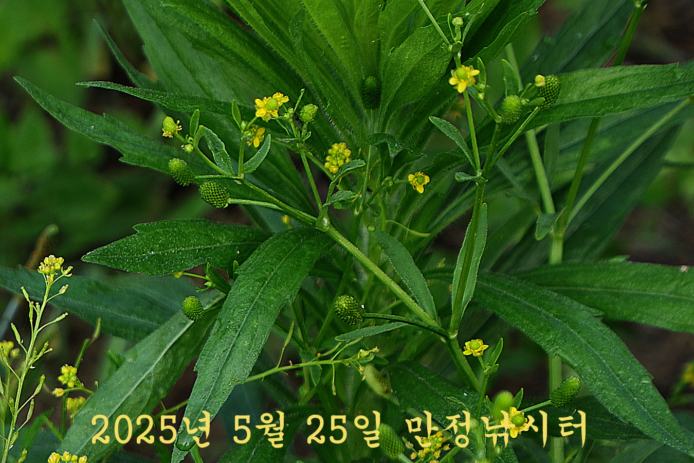 ab8e971cac5d5e2f68a6f3dd1ed7ff4f_1748165076_4504.jpg ab8e971cac5d5e2f68a6f3dd1ed7ff4f_1748165076_4504.jpg