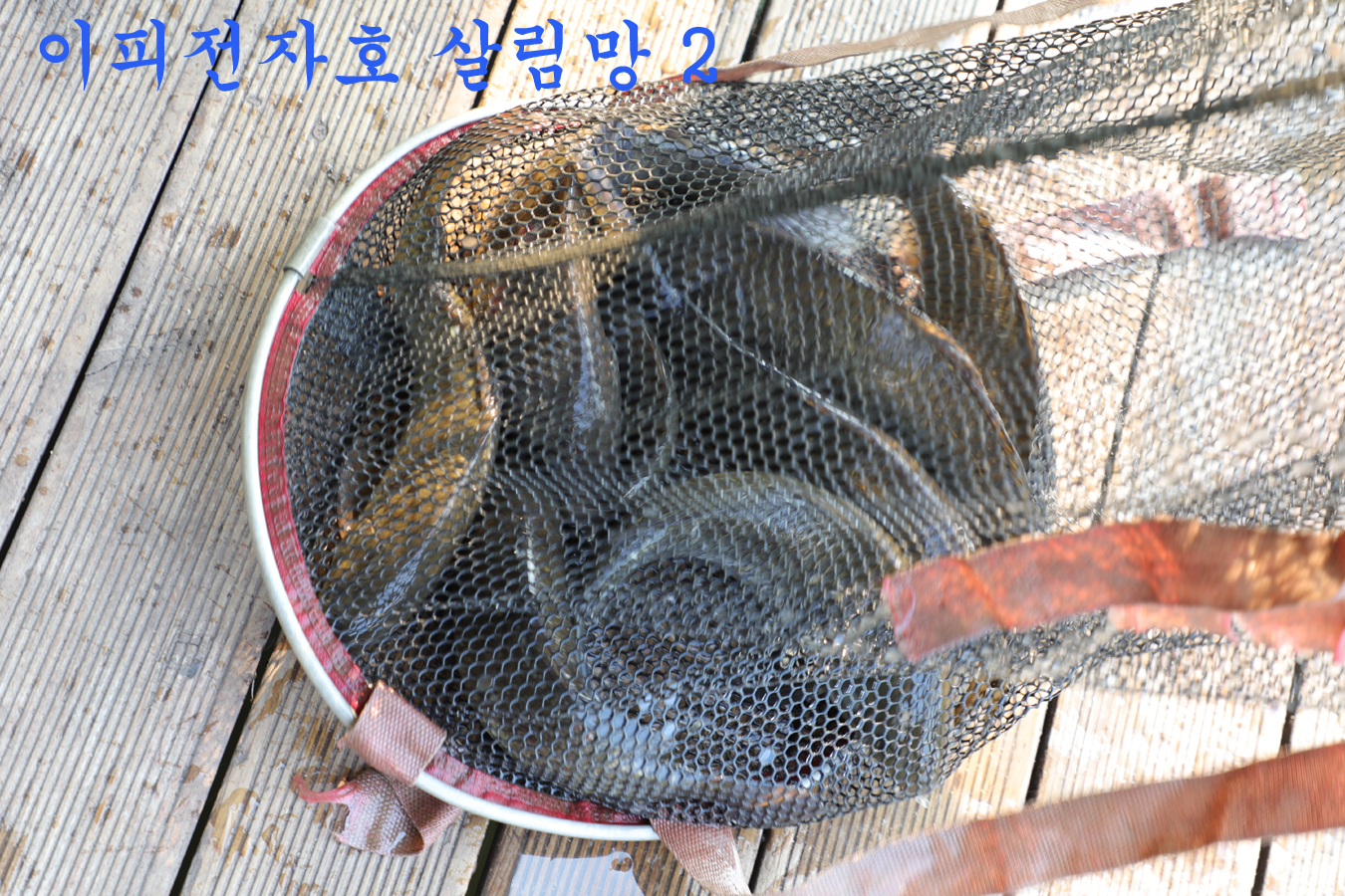 ab8e971cac5d5e2f68a6f3dd1ed7ff4f_1748165092_9564.jpg ab8e971cac5d5e2f68a6f3dd1ed7ff4f_1748165092_9564.jpg