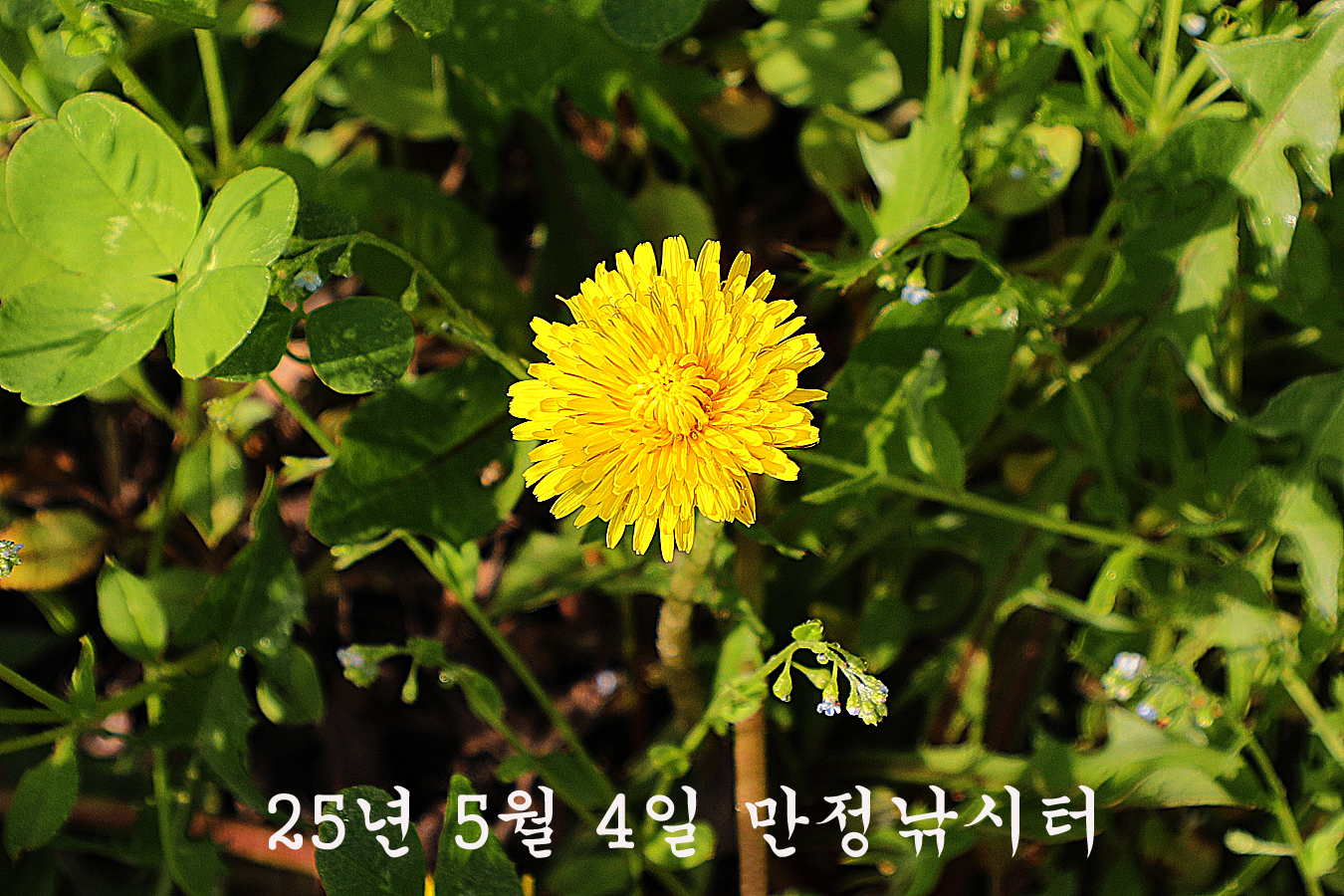 e407be491f93af113a3def03fc5e86bd_1746350523_4217.jpg e407be491f93af113a3def03fc5e86bd_1746350523_4217.jpg