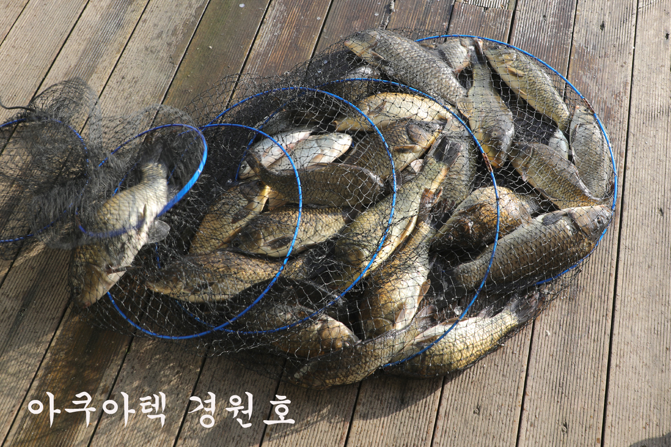 e407be491f93af113a3def03fc5e86bd_1746350523_6784.jpg e407be491f93af113a3def03fc5e86bd_1746350523_6784.jpg
