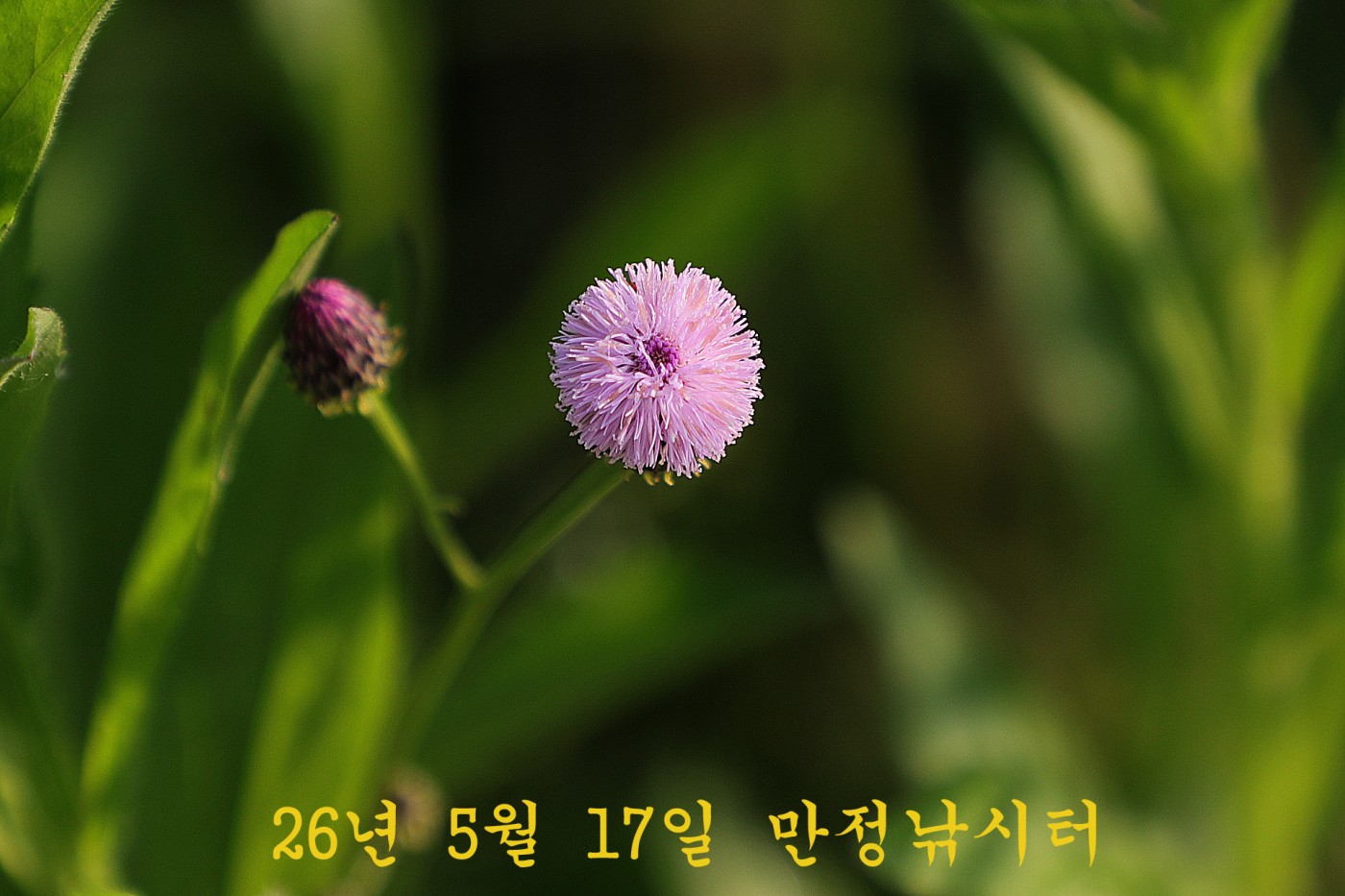 7f961340b61504178ee40969a5d3d908_1779011552_6571.jpg