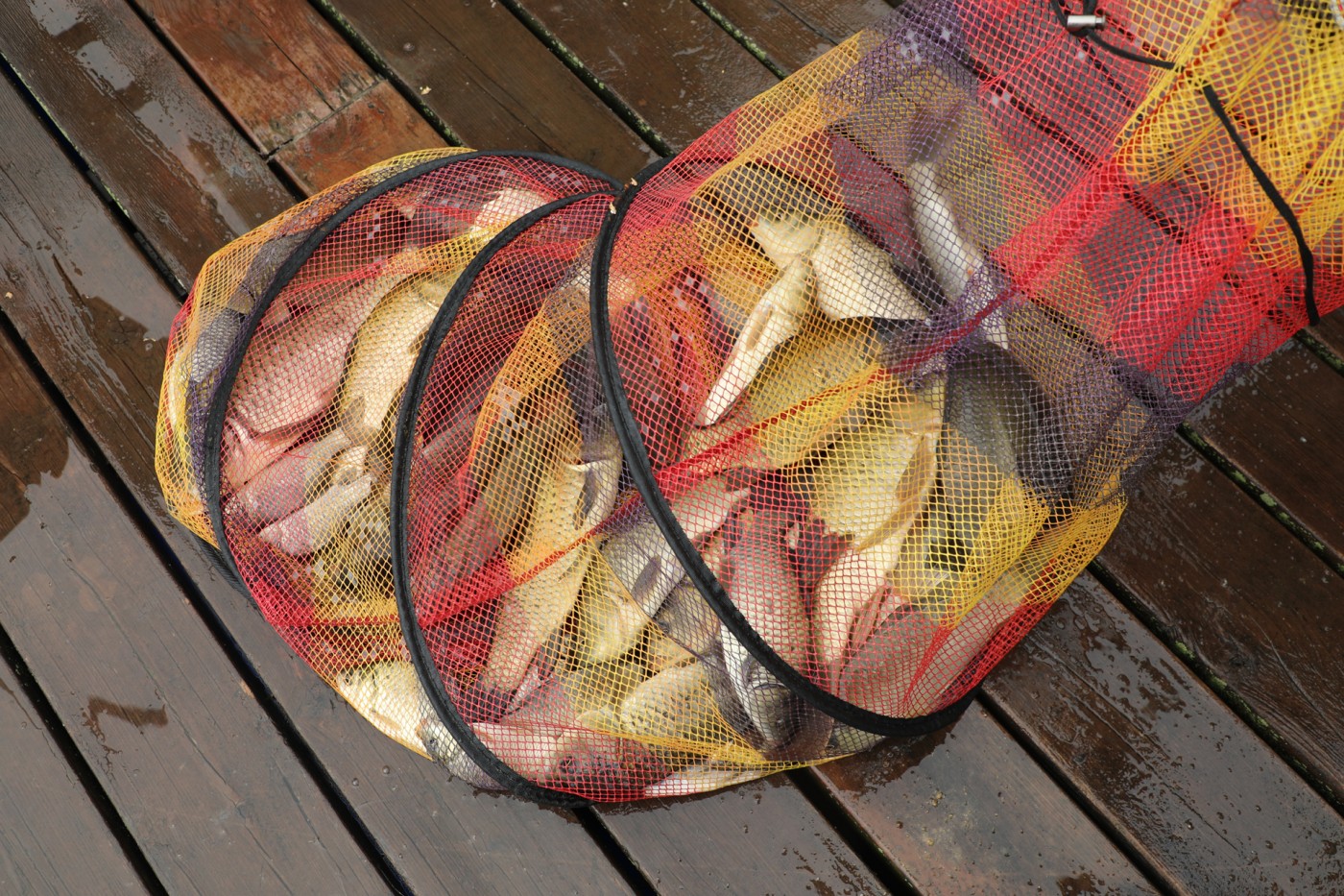 c2e63c68f3c4283767d8e3937ea397d0_1783244761_8112.jpg