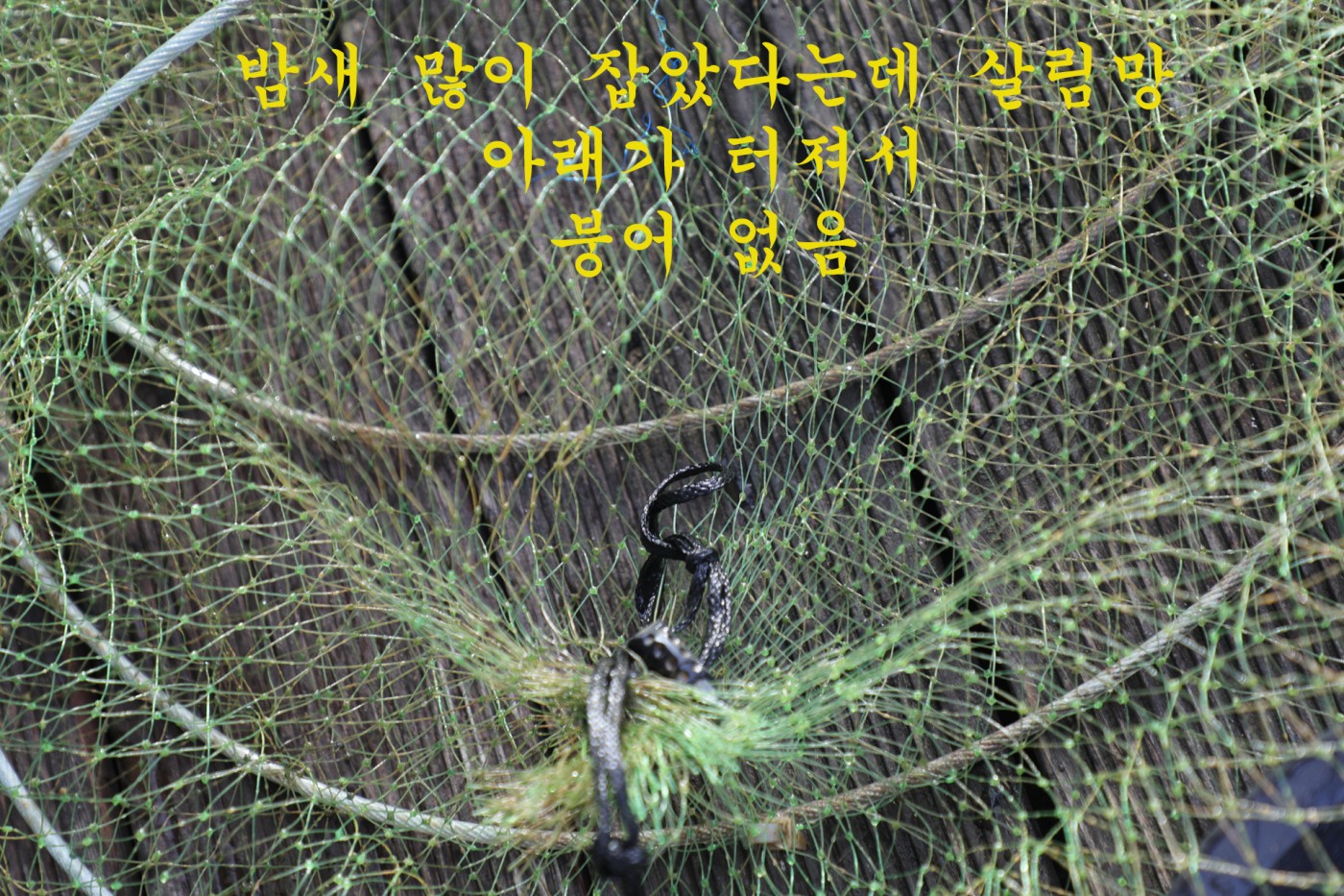 3ba921d79ee26ab1abd81b9eba1bf255_1788684233_2867.jpg