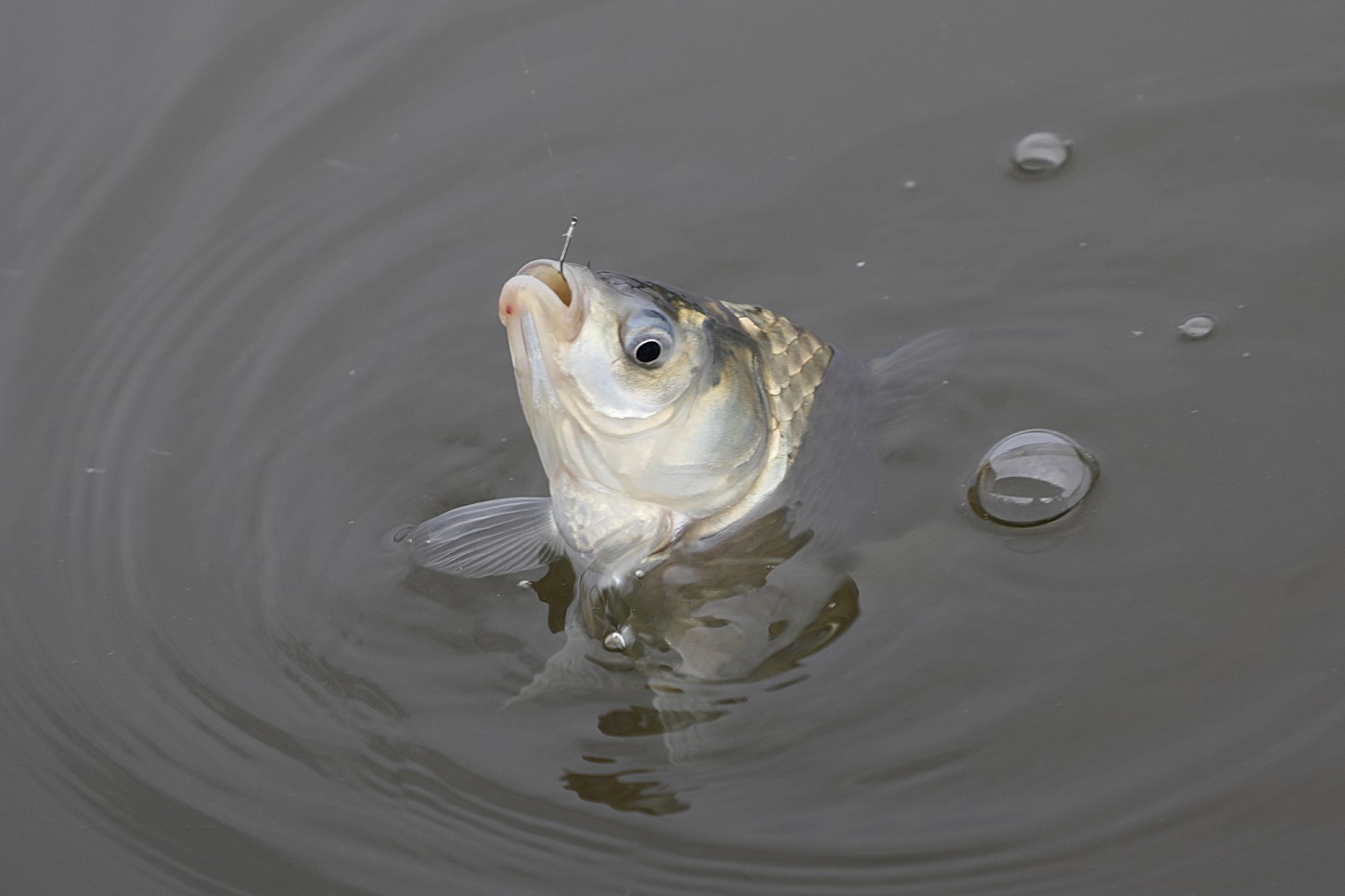 880c86178e76466859647176ad547c57_1789294287_3265.jpg